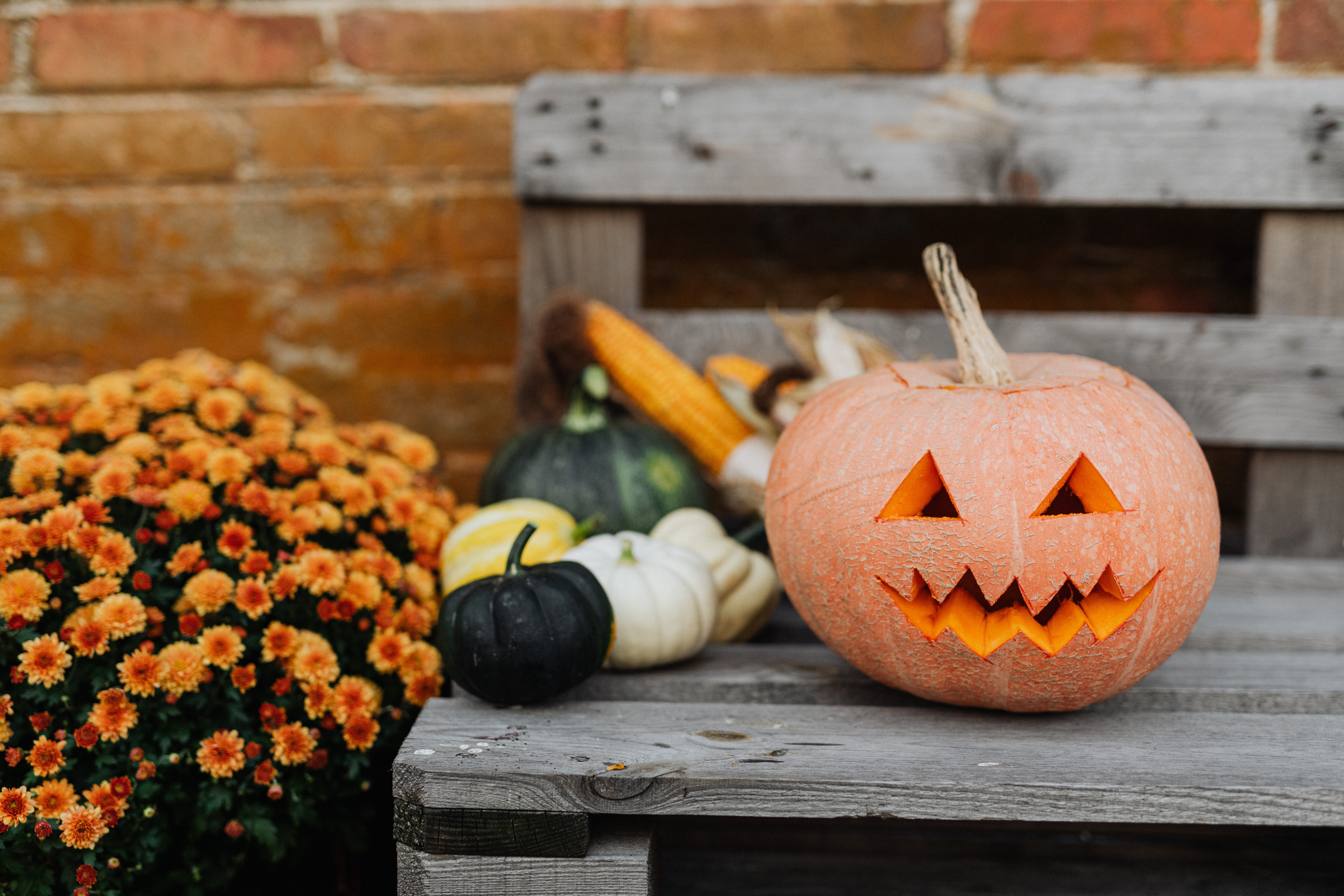 Halloween Blanket Fabric ideas